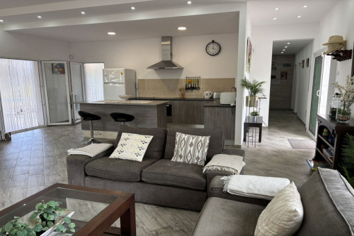 Open-plan kitchen and living room