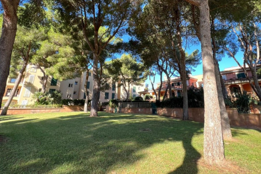 Well maintained outdoor area with trees