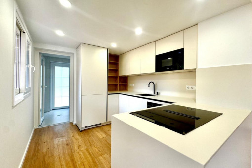 Modern fitted kitchen