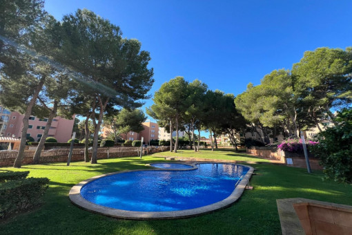 apartment in Mayoris Decima