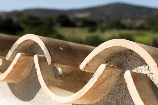 Top Finca Cala Millor Detail