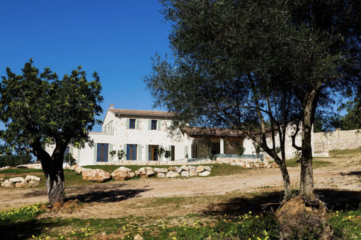 Top Finca Cala Millor