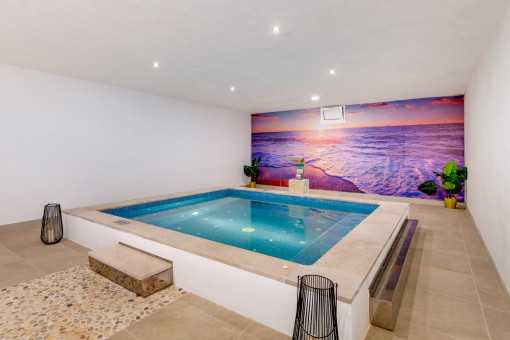 Spa area in the basement