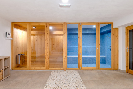 Spa area in the basement
