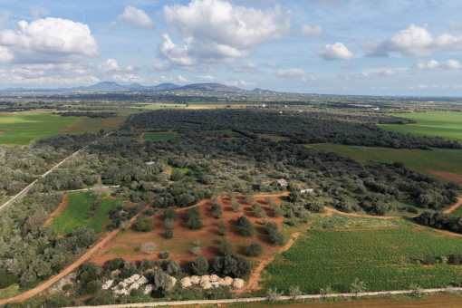 Building plot near Santanyi