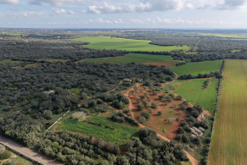 Building plot near Santanyi