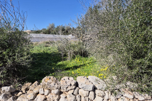 Plot situated in a well-maintained and pleasant environment