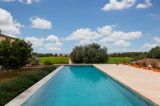 Pool with beautiful views of the greenery