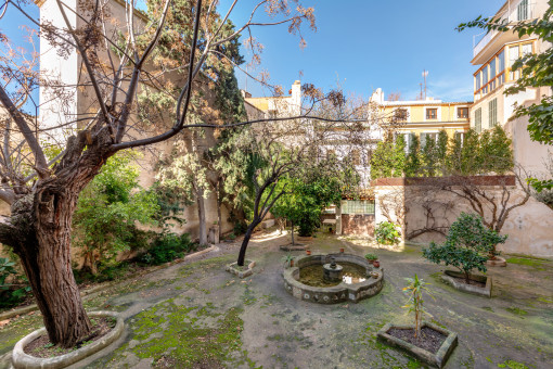 apartment in Palma de Mallorca Old Town