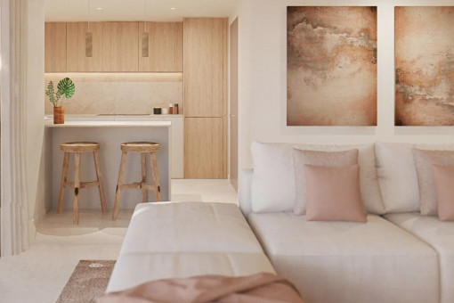 Open living area and kitchen