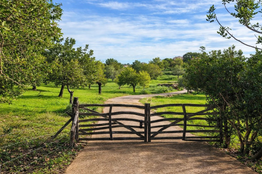 Surrounded by nature