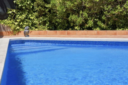 Community pool 