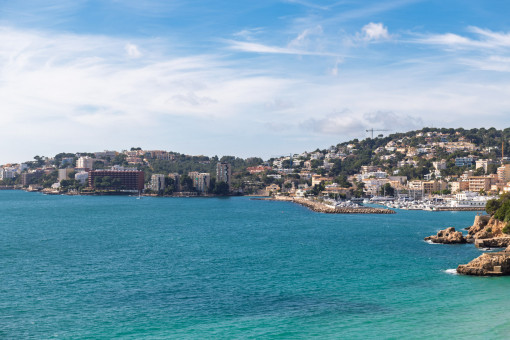 View from the terrace