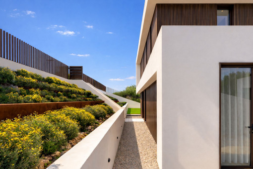 Low-maintenance garden surrounding the house