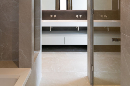Elegant double washbasin in the bathroom