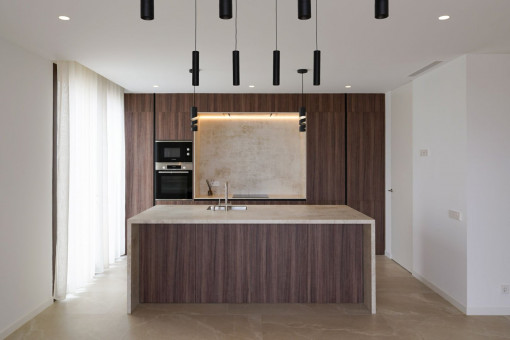 Contemporary designer kitchen