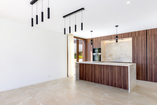 Modern designer kitchen