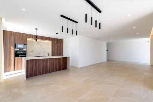 Modern kitchen with island
