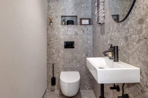 Guest toilet