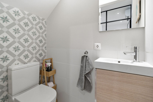 Guest toilet 