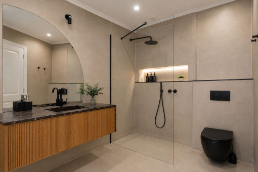 Modern bathroom with shower