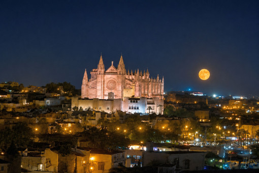 View over Palma towards La Seu Cathedral at night