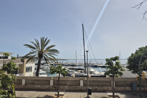 Habour views community terrace