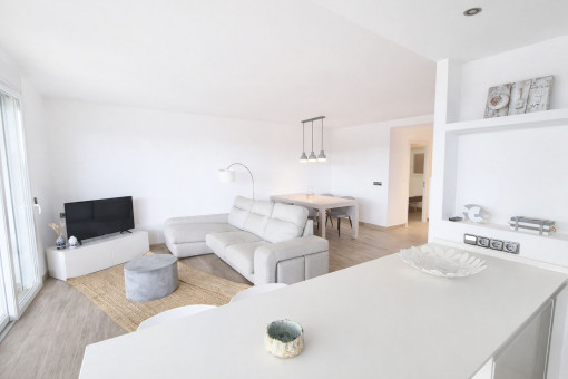 Kitchen and living area