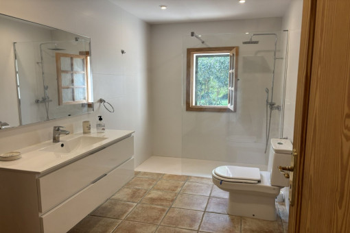 Modern bathroom in the main house