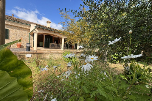 Lovely finca in Son Ametller - close to the international Academy