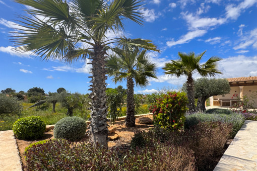 Finca Llucmajor Garden