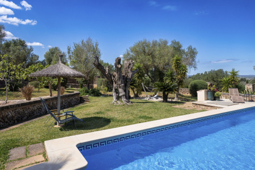 Nice maintained garden