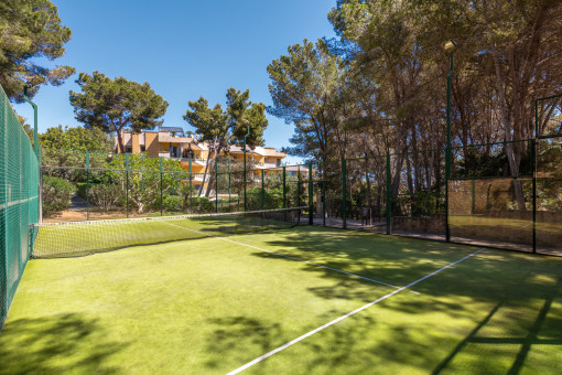 Padel court