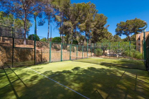Padel court