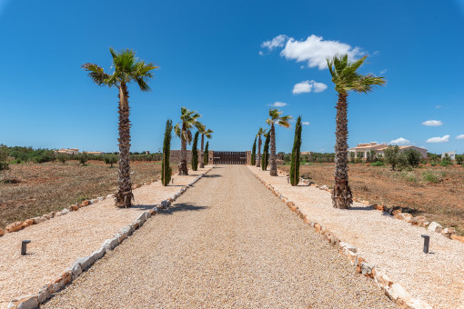 Elegant driveway leading to the estate