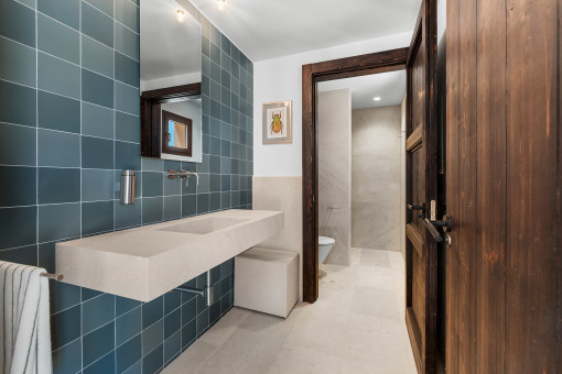 Guest toilet