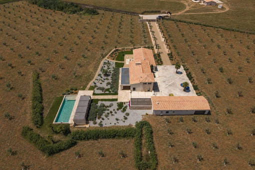 Panoramic aerial perspective of the finca, garage, and olive trees