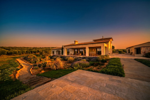 Terrace at sunset with a unique ambiance