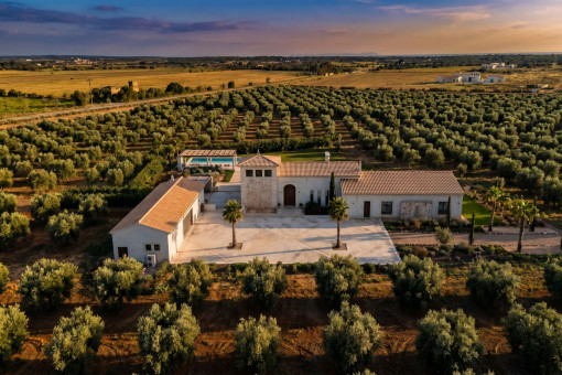 Aerial view of the estate with Mediterranean garden, pool and olive grove