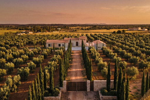 Elegant driveway leading to the estate