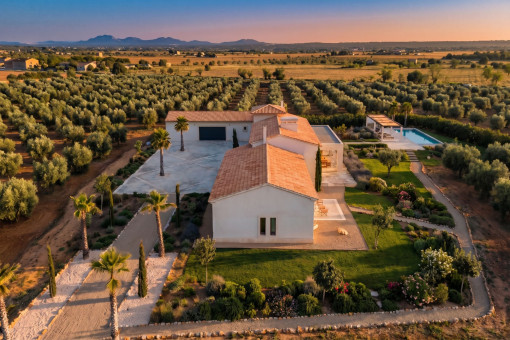 Atmospheric drone shot at sunset over the finca and garden