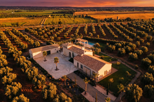 Sunset aerial view over the estate with pool and olive grove