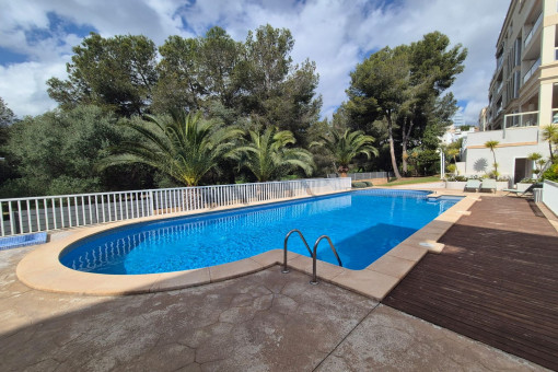 Community pool