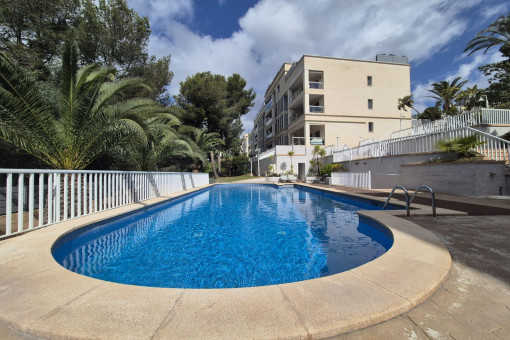 Community pool