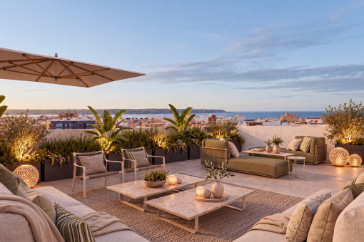 Big rooftop terrace 