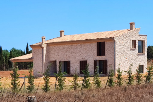 Back of the house