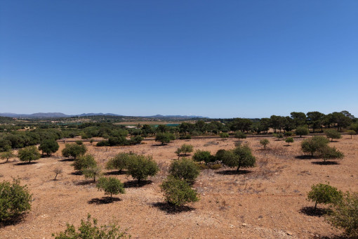 Plot in an exclusive hillside location