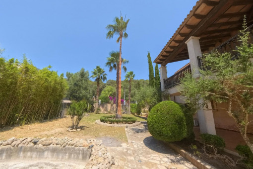 Spacious garden with palm and bushes