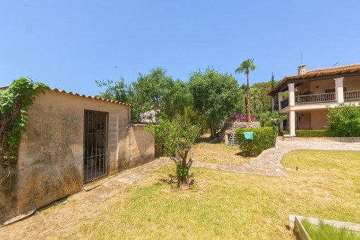 Garden with Mediterranean trees and grass