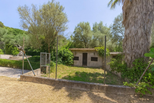 Garden with small outbuilding and trees